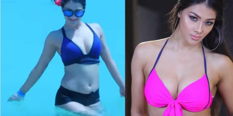 नम्रता मल्लाचा बिकिनीमधील Video व्हायरल, चाहते म्हणाले..
