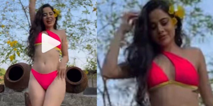 उर्फी जावेदचा आणखी एक बोल्ड व्हिडिओ सोशल मीडियावर व्हायरल !