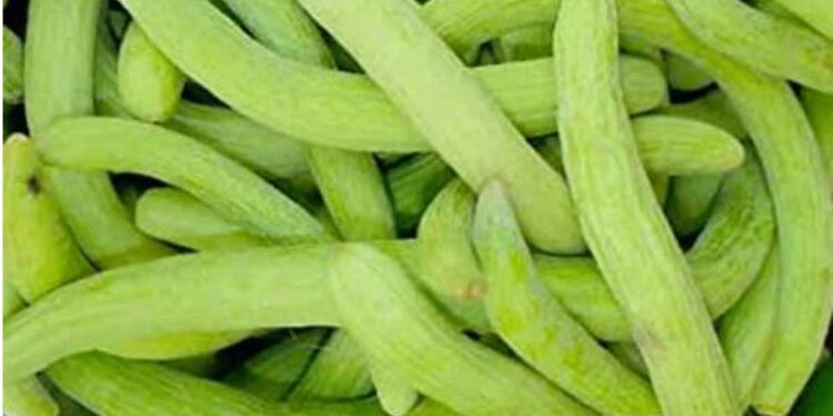 काकडी खाल्ल्याने शरीराला अनेक फायदे होतात, उन्हाळ्यात काकडी भरपूर खा