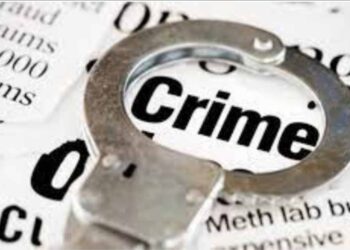 आईवर घेतलेल्या संशयामुळे पित्याचा मुलांनीच चाकूचे वार करीत केला खून ; पाचोरा शहरातील घटना