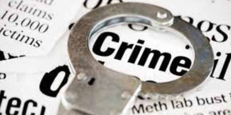 आईवर घेतलेल्या संशयामुळे पित्याचा मुलांनीच चाकूचे वार करीत केला खून ; पाचोरा शहरातील घटना