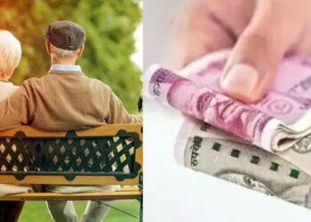 वृद्धापकाळाच्या खर्चाची चिंता सोडा ! ‘या’ सरकारी योजनांमधून दरमहा उत्पन्न मिळेल, पहा तपशील