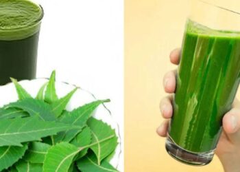 उन्हाळ्यात कडुलिंबाचा रस प्या, रोज प्यायल्याने हे आजार दूर होतील