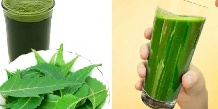 उन्हाळ्यात कडुलिंबाचा रस प्या, रोज प्यायल्याने हे आजार दूर होतील