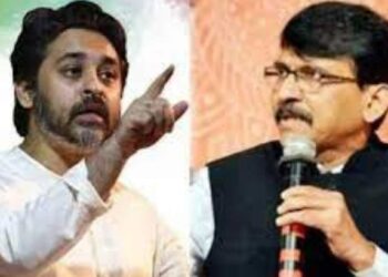 … त्यांना तर कुत्रेही विचारत नाही ; निलेश राणेंची राऊतांवर घणाघात