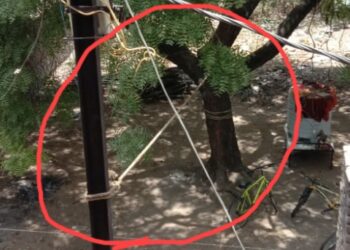 वाल्मीकनगरमध्ये वाकलेला विद्युत खांब दोरीने झाडाला बांधला ; महावितरणचे दुर्लक्ष