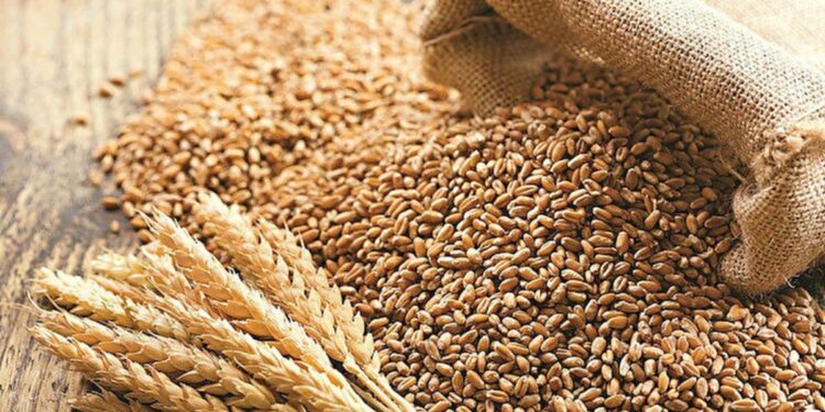 गव्हाच्या निर्यातीवर तात्काळ बंदी, केंद्राचा महत्वाचा निर्णय