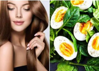 केसगळती नियंत्रित करण्यासाठी ‘हे’ आरोग्यदायी पदार्थ खा !