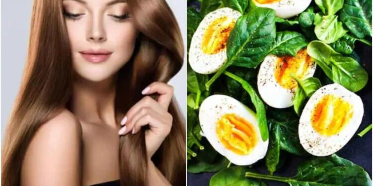 केसगळती नियंत्रित करण्यासाठी ‘हे’ आरोग्यदायी पदार्थ खा !