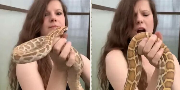 Video : सापासोबत मस्ती, नंतर त्या भयंकर सापाने जे केले ते मुलगी आयुष्यभर विसरणार नाही