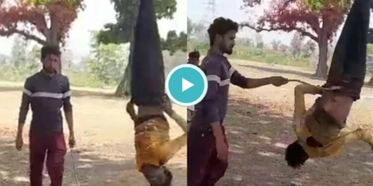 धक्कादायक ! झाडाला उलटे लटकवून तरुणाला बेदम मारहाण, Video सोशल मीडियावर व्हायरल