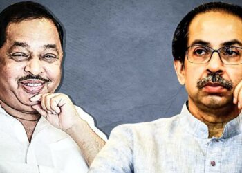 बाळासाहेबांची शिवसेना आता म्याव-म्याव, ब्या ब्याsss, बकरीसेना झाली, राणेंची टीका