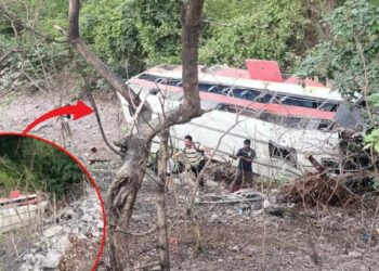 भुसावळ-बोईसर बसचा भीषण अपघात, बस 25 फूट खोल दरीत कोसळली