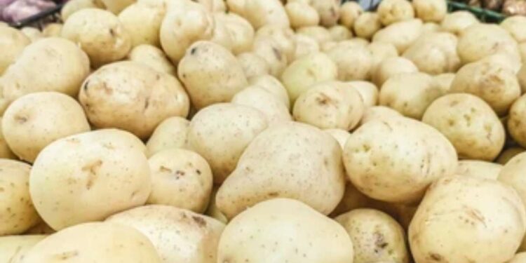 तुम्ही देखील बटाट्याचे जास्त प्रमाणात सेवन करताय? जाणून घ्या ‘हे’ 5 मोठे तोटे