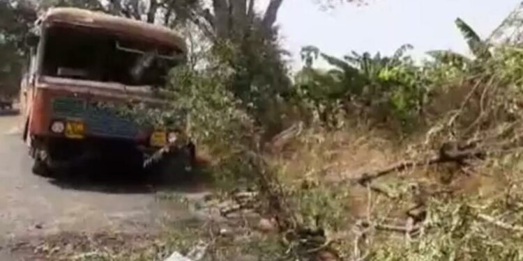 अरे बापरे.. धावत्या बसवर कोसळले झाड, १२ प्रवासी जखमी