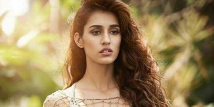 दिशा पटानीच्या या 10 बोल्ड फोटोंनी केला कहर ; तुफान व्हायरल होतंय