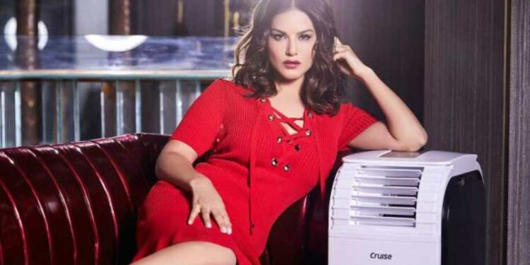 ‘या’ अभिनेत्री केवळ अभिनयापुरत्या मर्यादित नसून अशा गोष्टी एकत्र करतात