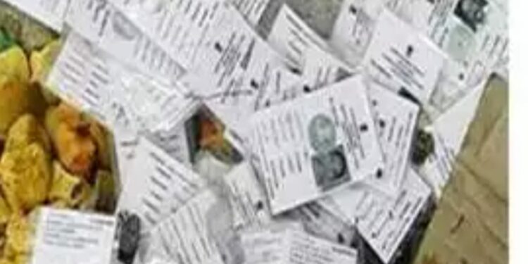 आता घरबसल्या असं शोधा मतदार यादीत नाव ; निवडणूक आयोगाच नवं ऍप