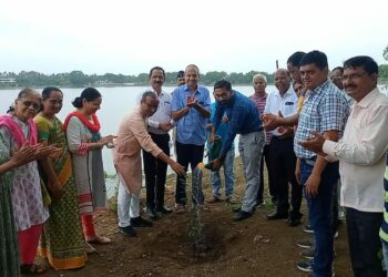 पर्यावरण समतोलासाठी वृक्षसंवर्धन महत्त्वाचे – जिल्हाधिकारी अभिजीत राऊत