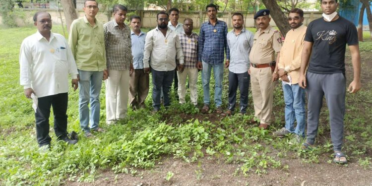 महाराष्ट्र राज्य मराठी पत्रकार संघाच्या वतीने रावेर येथील ग्रामीण रुग्णालय आवारात वृक्षारोपण