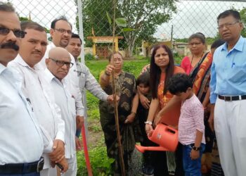 वृक्षसंवर्धन प्रत्येकाची जबाबदारी – आयुक्त विद्या गायकवाड