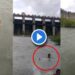 अंगावर काटा आणणारी घटना ; तरुणाचा पाण्यात वाहून जातानाचा Video व्हायरल