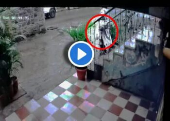 धक्कादायक ! नर्स असल्याचं भासवून एक दिवसाच्या चिमुरड्याची चोरी, घटना सीसीटीव्हीत कैद