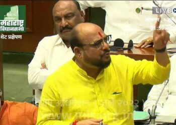 आमच्या मतावर ते खासदार होतात अन्.. विधानसभेत गुलाबराव पाटील संजय राऊतांवर भडकले