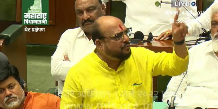 आमच्या मतावर ते खासदार होतात अन्.. विधानसभेत गुलाबराव पाटील संजय राऊतांवर भडकले