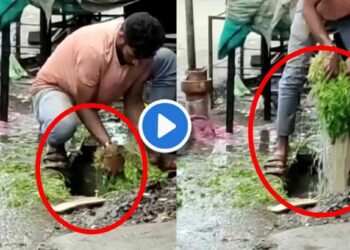 बाहेरून भाजीपाला खरेदी करीत असाल तर ‘हा’ Video नक्कीच पहा