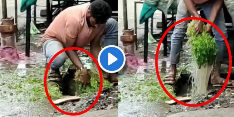 बाहेरून भाजीपाला खरेदी करीत असाल तर ‘हा’ Video नक्कीच पहा