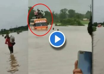 पुराच्या पाण्यात प्रवाशांनी भरलेली बस अडकली, घटनेचा थरार कॅमेऱ्यात कैद