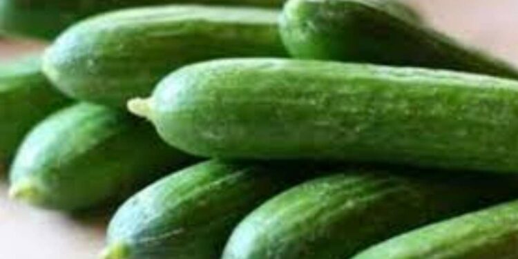 Health Tips : काकडीने त्वचा आणि केसांच्या समस्या होतील दूर ; या पद्धतीने वापरा