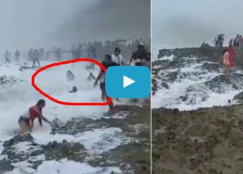 समुद्राची लाट आली अन् तिघांना घेऊन गेली, घटनेचा थरारक Video व्हायरल