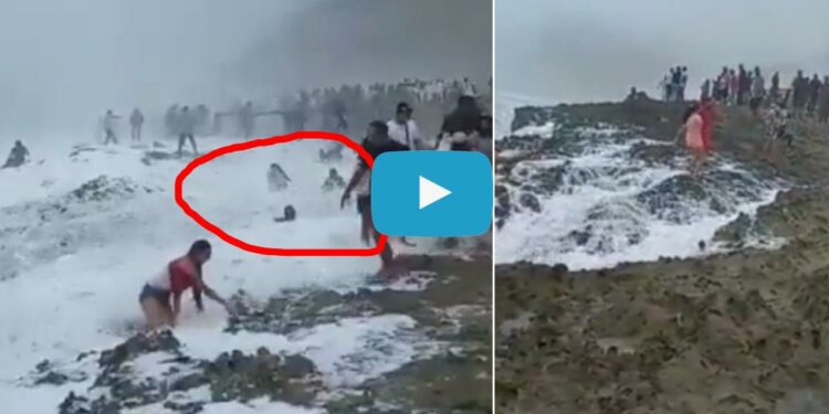 समुद्राची लाट आली अन् तिघांना घेऊन गेली, घटनेचा थरारक Video व्हायरल