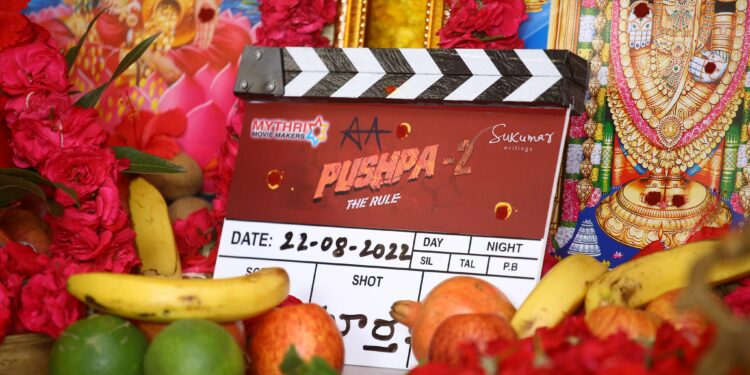 पुष्पा -2 च्या शूटिंगला सुरवात ; अल्लू अर्जुन आणि रश्मिका मंदान्ना जोडी पुन्हा दिसणार…