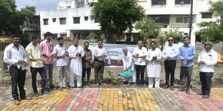 शिवकाॕलनीत घर घर वृक्षारोपणाचा संकल्प ; गांधी रिसर्च फाऊंडेशन, मराठी प्रतिष्ठानचा उपक्रम
