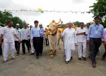 जैन हिल्स येथे सर्जा-राजाचा पोळा सण उत्साहात साजरा