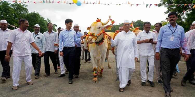 जैन हिल्स येथे सर्जा-राजाचा पोळा सण उत्साहात साजरा