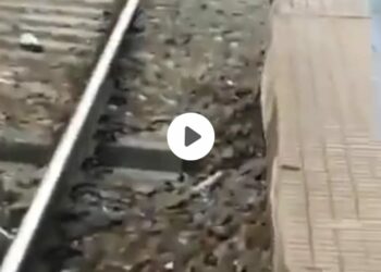 व्हिडीओ मोबाईल कॅमेऱ्यात रेकॉर्ड ; लग्नास नकार दिल्याने मुलगी थेट रेल्वे ट्रॅक वर पोहचली… समोरून लोकल ट्रेन आली,आणि पुढे काय झालं वाचा