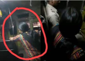 दारू पिऊन महिलेचा बस मध्ये गोंधळ ; व्हिडीओ व्हायरल, नाशिक येथील घटना