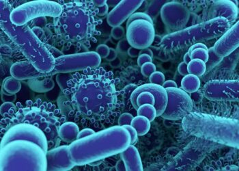 चीनमध्ये आणखी एक धोकादायक विषाणू सापडला, व्हायरसची लक्षणे काय आहेत?