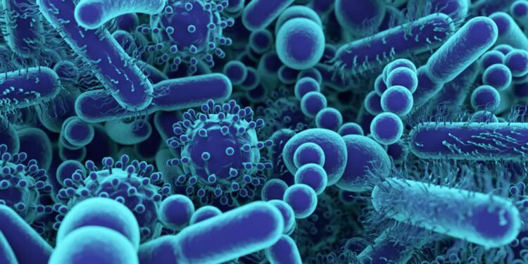 चीनमध्ये आणखी एक धोकादायक विषाणू सापडला, व्हायरसची लक्षणे काय आहेत?