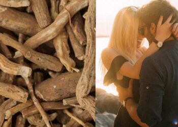 अश्वगंधा वाढवते पुरुषांची प्रजनन क्षमता, ‘या’ समस्याही दूर होतात