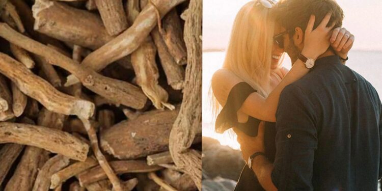 अश्वगंधा वाढवते पुरुषांची प्रजनन क्षमता, ‘या’ समस्याही दूर होतात