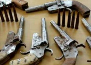 चोपड्यात पोलिसांची मोठी कारवाई ; १२ गावठी कट्टे, जिवंत काडतूससह दोघे जेरबंद