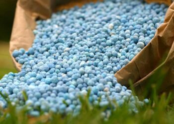 देशभरात ‘भारत’ नावाने होणार अनुदानित खतांची विक्री ; जाणून घ्या सविस्तर