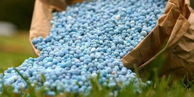 देशभरात ‘भारत’ नावाने होणार अनुदानित खतांची विक्री ; जाणून घ्या सविस्तर