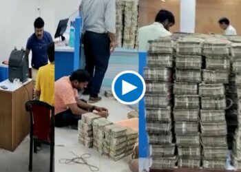 महाराष्ट्रात इनकम टॅक्सची मोठी कारवाई ; 58 कोटीची कॅश अन् 32 किलो सोनं जप्त