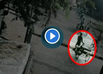 रेल्वे ट्रेकवर रिक्षा खेचत असताना ट्रेन धडधडत आली अन्.. सीसीटीव्हीत कैद झालेला हा भयंकर व्हिडीओ